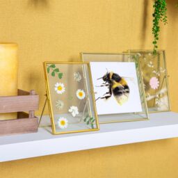 "Nicola Spring 2x Standing Metal Photo Frames - 5"" x 7"" Picture Display Poster Frame in Gold" - thumbnail 5