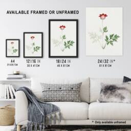 Artery8 Red Bloom Flower Vintage Japan Framed Wall Art Print Japanese Botanical - Size: A4 - thumbnail 3