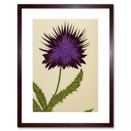 "Artery8 Wall Art Print Stylized Modern Purple Scottish Thistle Flower Artwork Framed 9X7 Inch in Brown - Size: W7"" x H9""" - thumbnail 1