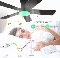 Garwarm Dimmable Ceiling Fans, Noiseless Modern Fan Light in Black - thumbnail 6