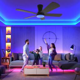 Garwarm Dimmable Ceiling Fans, Noiseless Modern Fan Light in Black - thumbnail 7