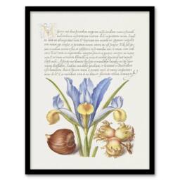 "Artery8 Iris Flower & Hazelnut Calligraphy Framed Wall Art Print in White - Size: W12"" x H16""" - thumbnail 1