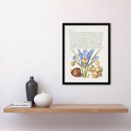 "Artery8 Iris Flower & Hazelnut Calligraphy Framed Wall Art Print in White - Size: W12"" x H16""" - thumbnail 4