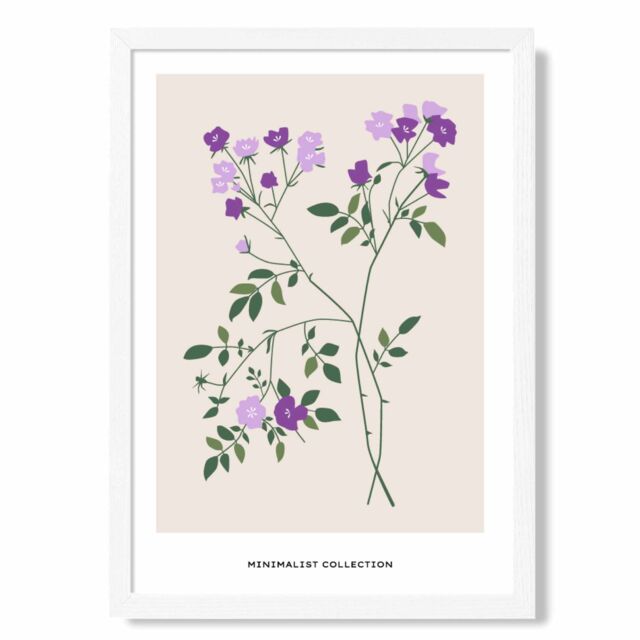 ARTZE Purple Vinca Plant Flower Market Minimalist Framed Print SIZE: A4 with White Frame - Size: A2 - image 1