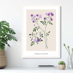 ARTZE Purple Vinca Plant Flower Market Minimalist Framed Print SIZE: A4 with White Frame - Size: A2 - thumbnail 2