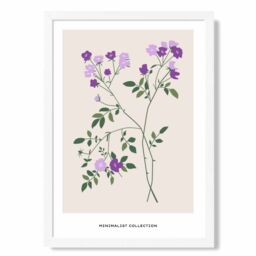 ARTZE Purple Vinca Plant Flower Market Minimalist Framed Print SIZE: A4 with White Frame - Size: A2 - thumbnail 1