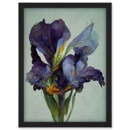 Artery8 Iris Floral Modern Watercolour Artwork Framed Wall Art Print A4 in Black - thumbnail 1