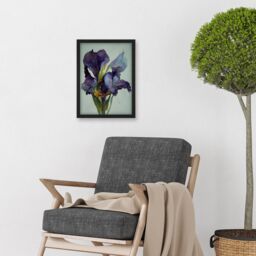 Artery8 Iris Floral Modern Watercolour Artwork Framed Wall Art Print A4 in Black - thumbnail 2