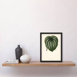 Artery8 Vintage Botanical Pepper Elder Leaf Fawcett Framed Wall Art Print in Beige - Size: A4 - thumbnail 2