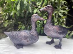 Inspirational Gifting Pair of Ducks Garden Sculpture Cast Aluminium Ornament in Bronze - thumbnail 1