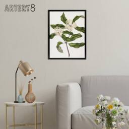 "Artery8 New Zealand Tarata Lemonwood Plant Featon Framed Canvas Wall Art Print in Beige - Size: W12"" x H16""" - thumbnail 3
