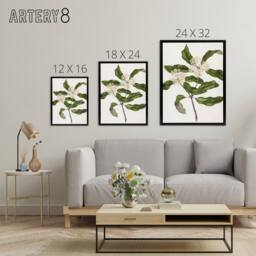 "Artery8 New Zealand Tarata Lemonwood Plant Featon Framed Canvas Wall Art Print in Beige - Size: W12"" x H16""" - thumbnail 4
