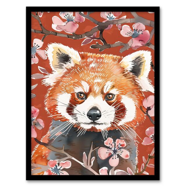 Artery8 Red Panda Cherry Blossom Tree Branch Watercolour Framed Wall Art - Size: A4 - image 1
