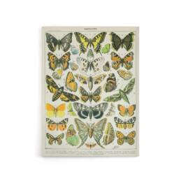 "Artery8 Millot Encyclopedia Page Butterflies Moths Canvas Wall Art Print - Size: W24"" x H32""" - thumbnail 1