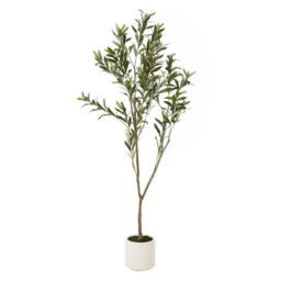 Lemon Pavilion Furniture and Decor Apulia Olive Tree in Pot 150 cm, Plastic, Height 150 cm, Brown/White in Brown - thumbnail 1