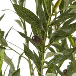 Lemon Pavilion Furniture and Decor Apulia Olive Tree in Pot 150 cm, Plastic, Height 150 cm, Brown/White in Brown - thumbnail 2
