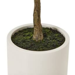 Lemon Pavilion Furniture and Decor Apulia Olive Tree in Pot 150 cm, Plastic, Height 150 cm, Brown/White in Brown - thumbnail 4