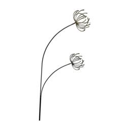 Poppyforge Clematis Garden Art - Bare Metal/Ready to Rust - W37 x H133 cm in Brown