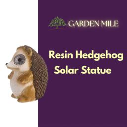Marco Paul Men's Brown Resin Solar Powered Hedgehog Garden Ornament 12cm in Beige - thumbnail 3