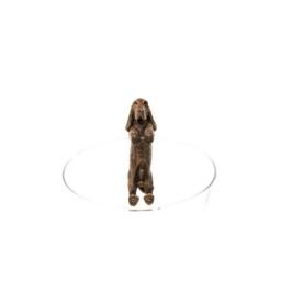Jardinopia Basset Hound Plant Pot Hanger - L11 x W5.5 x H4.5 cm in Bronze - thumbnail 1