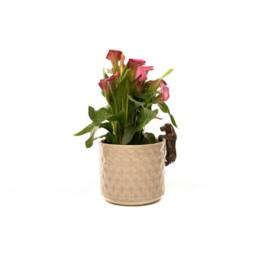 Jardinopia Basset Hound Plant Pot Hanger - L11 x W5.5 x H4.5 cm in Bronze - thumbnail 3