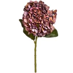 Wyld Haus Set of 3 Artificial Autumn Coffee Hydrangea Stems 42cm in Burgundy - thumbnail 1