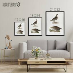 "Artery8 James De Kay Partridge & Pinnated Grouse Framed Canvas Art Print in White - Size: W12"" x H16""" - thumbnail 4