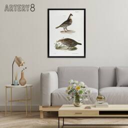 "Artery8 James De Kay Partridge & Pinnated Grouse Framed Canvas Art Print in White - Size: W12"" x H16""" - thumbnail 3