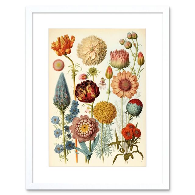 "Artery8 Wall Art Print Vintage Botanical Ernst Haeckel Style Plant Study Modern Watercolour Painting Artwork Framed 9X7 Inch - Size: W7"" x H9""" - image 1