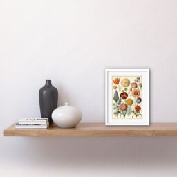 "Artery8 Wall Art Print Vintage Botanical Ernst Haeckel Style Plant Study Modern Watercolour Painting Artwork Framed 9X7 Inch - Size: W7"" x H9""" - thumbnail 2