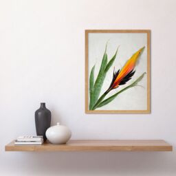"Artery8 Wall Art Print Bird of Paradise Tropical Plant Flower & Leaves on White Art Framed in Light Oak - Size: W12"" x H16""" - thumbnail 2