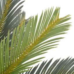 Berkfield Home Artificial Plant Cycas Palm with Pot Green 90 cm - thumbnail 1