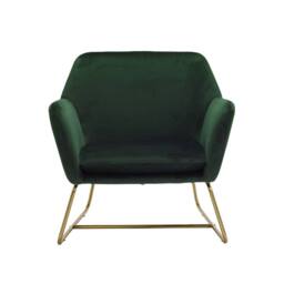 Wyld Haus Marseille Forest Green Velvet Armchair with Gold Legs - thumbnail 2