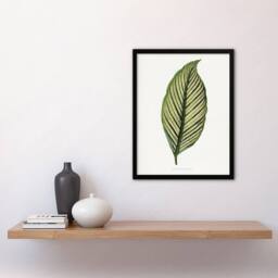 Artery8 AF Lydon Benjamin Fawcett Maranta Vittata Leaf Framed Wall Art Print in White - Size: A4 - thumbnail 4