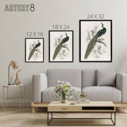 "Artery8 Male Peafowl Peacock Sir William Jardine Framed Canvas Wall Art in White - Size: W12"" x H16""" - thumbnail 4