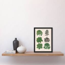 Artery8 Ernst Benary Kale & Brussel Sprouts Vintage Botanical Framed Art in White - Size: A4 - thumbnail 2