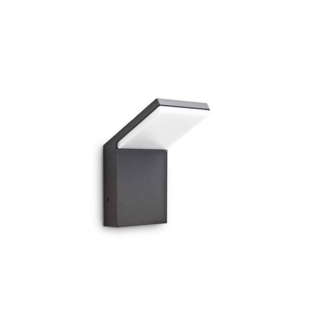 Netlighting Style Integrated LED Outdoor Wall Lamp 1 Light Anthracite 3000K IP54 in Black