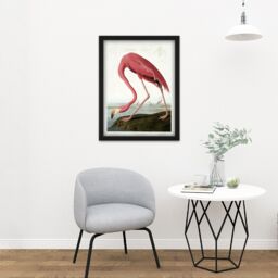 "Artery8 Wall Art Print Audubon American Flamingo Large Framed Wall Décor Art in White - Size: W18"" x H24""" - thumbnail 2