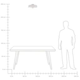 Wyld and Coco Flush Ceiling Lamp - White Glass Shade for Low Ceilings - thumbnail 6