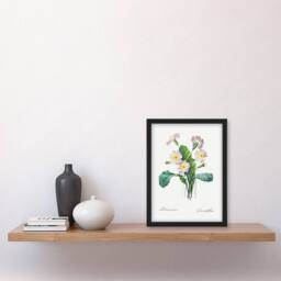 "Artery8 Primrose Floral Illustration Redoute Vintage Framed Wall Art Print in White - Size: W12"" x H16""" - thumbnail 4