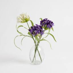 Scottish Everlastings Ltd 40cm Agapanthus in Vase in Purple - thumbnail 3