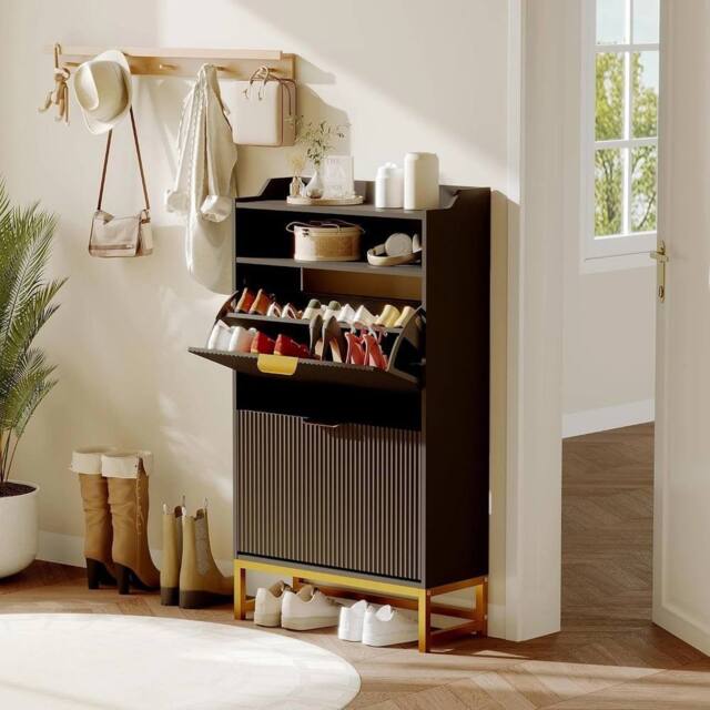 VOGREX Narrow Shoe Cabinet 2 Flip Drawers in Black - image 1