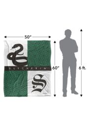 Warner Brothers Harry Potter House Pride Slytherin Blanket 152 x 127 cm in White - thumbnail 5