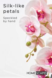 Homescapes Luxury Artificial Orchid in Pot, 3 Stems, 64 cm, Pink - thumbnail 3