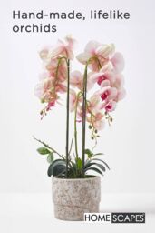 Homescapes Luxury Artificial Orchid in Pot, 3 Stems, 64 cm, Pink - thumbnail 2