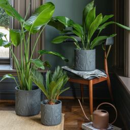 Royal Botanic Gardens Kew Kew Stoneware Meadow Planter Midnight 24cm in Grey