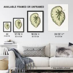 "Artery8 AF Lydon Benjamin Fawcett Begonia Marshall Leaf Wall Art Print in White - Size: W12"" x H16""" - thumbnail 3