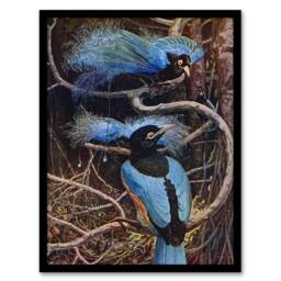 Artery8 Blue Bird of Paradise Sir Henry Johnston Vintage Framed Wall Art Print in Brown - Size: A4 - thumbnail 1