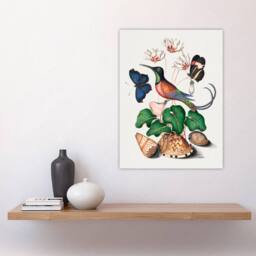 "Artery8 Hummingbird Cyclamen Butterflies Seashells Bolton Wall Art Poster - Size: W24"" x H32""" - thumbnail 4
