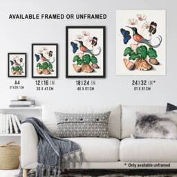 "Artery8 Hummingbird Cyclamen Butterflies Seashells Bolton Wall Art Poster - Size: W24"" x H32""" - thumbnail 3